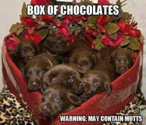 Valentine box of chocolates